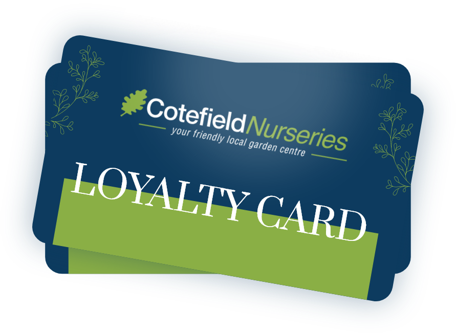 cotefield loyalty card